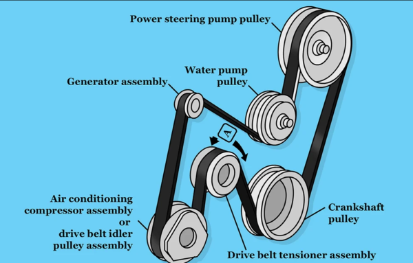 T1N 2001-2006 Sprinter Van Serpentine Belt - Image 2